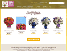 Tablet Screenshot of littleshopmyrtlebeach.com